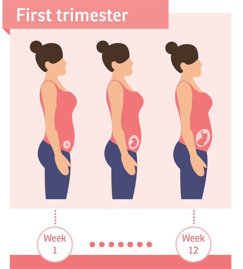 what-your-partner-should-know-during-the-first-trimester